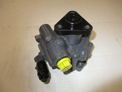 Hydraulic Pump, steering (32-79537)