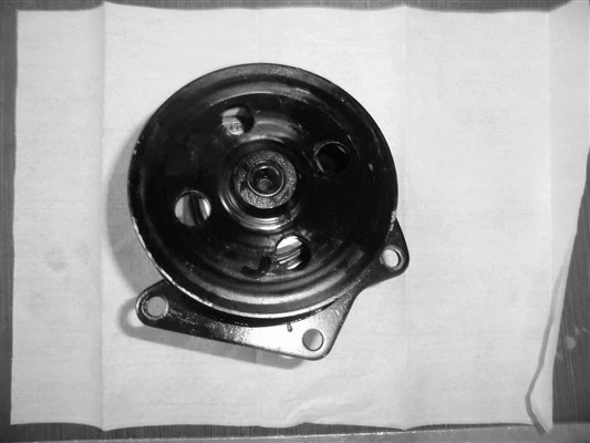 Hydraulic Pump, steering