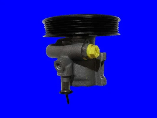 Hydraulic Pump, steering (32-79508)