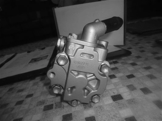 Hydraulic Pump, steering (32-91503)