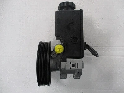 Hydraulic Pump, steering (32-94502)