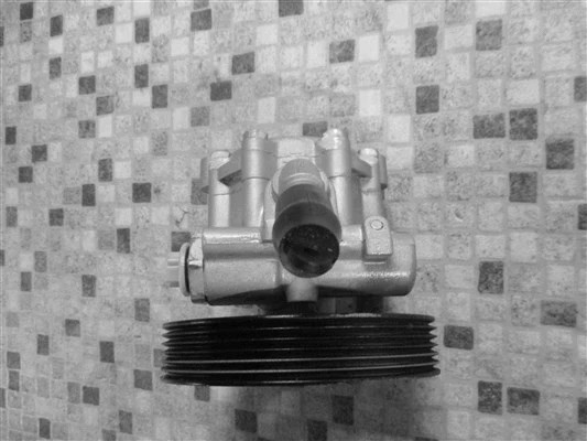 Hydraulic Pump, steering