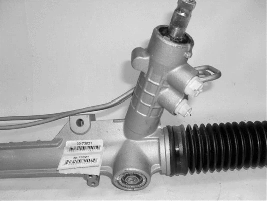 Steering Gear (30-73021)