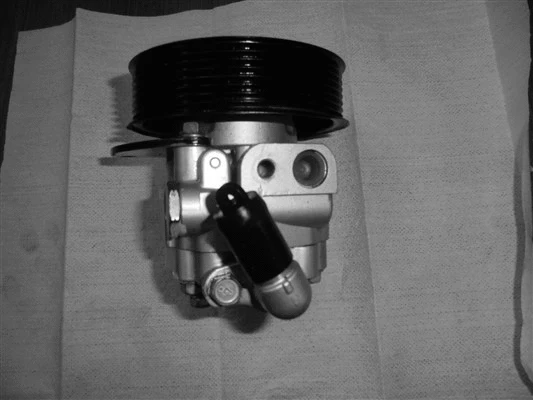 Hydraulic Pump, steering (32-93512)