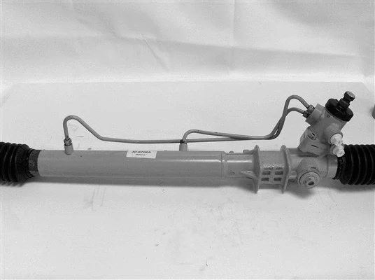 Steering Gear (30-67005)