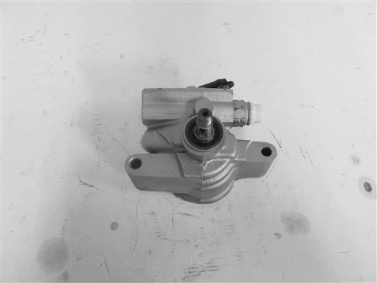 Hydraulic Pump, steering (32-62512)