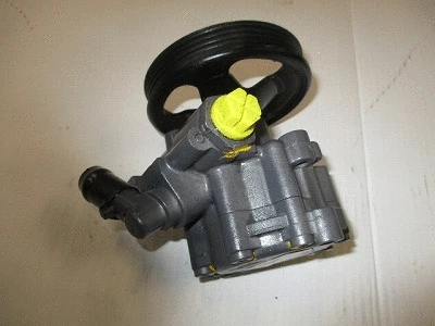 Hydraulic Pump, steering (32-75534)