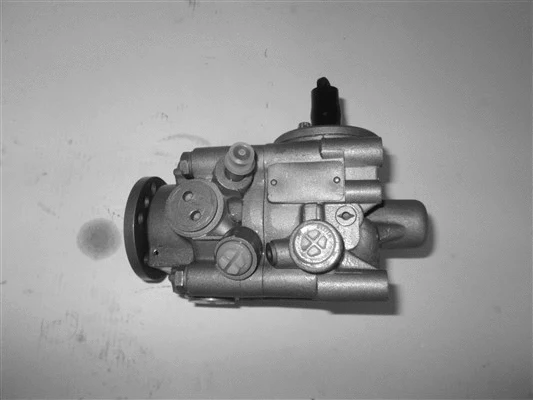 Hydraulic Pump, steering (32-89571)