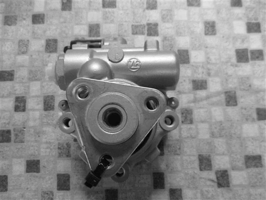 Hydraulic Pump, steering (32-71549)