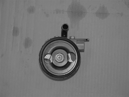Hydraulic Pump, steering