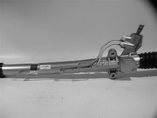 Steering Gear (30-75050)