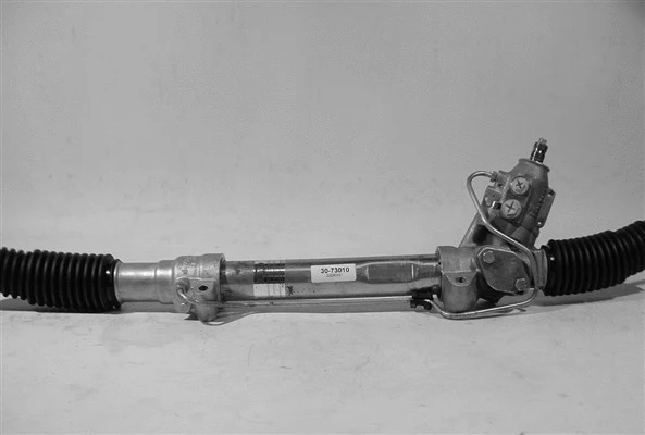 Steering Gear (30-73010)