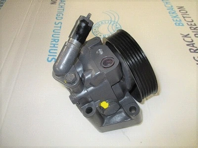 Hydraulic Pump, steering (32-76609)