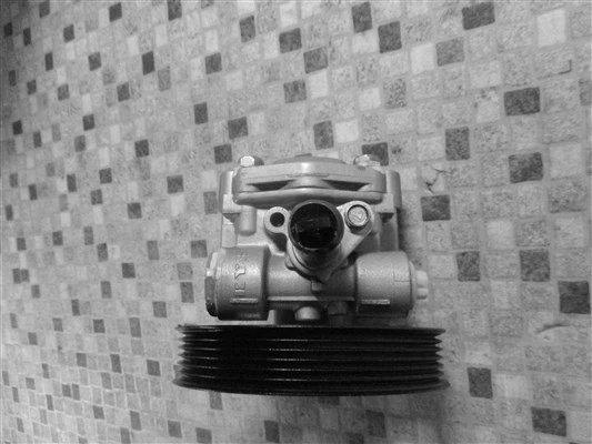 Hydraulic Pump, steering