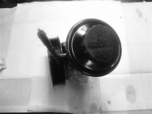 Hydraulic Pump, steering