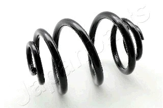 Suspension Spring (ZC5049J)