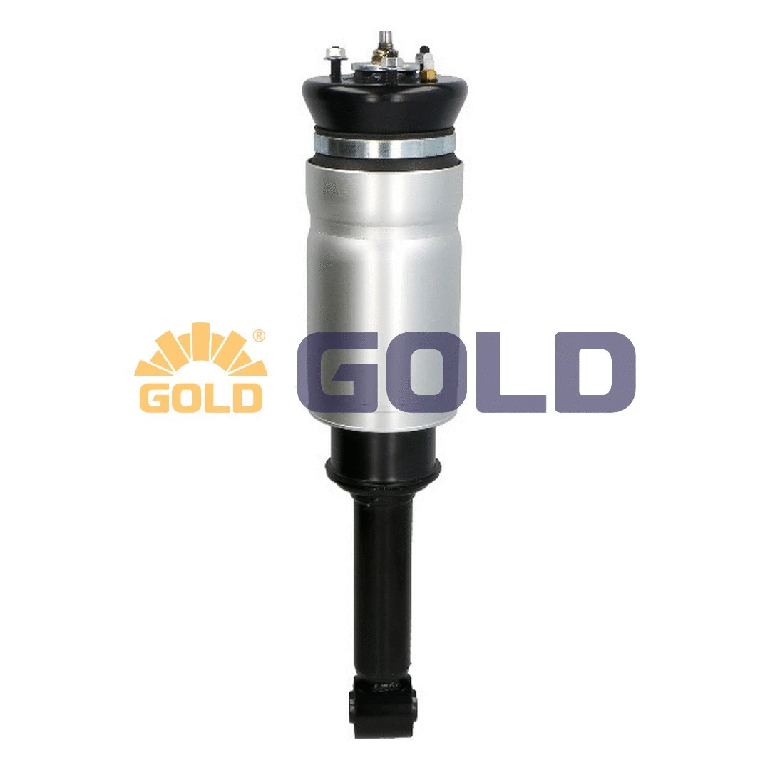 Air Suspension Strut (GAS021)