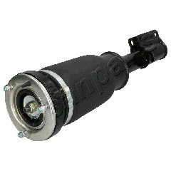 Air Suspension Strut
