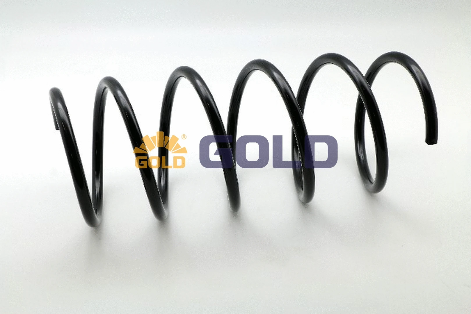 Suspension Spring (GZJ1131A)