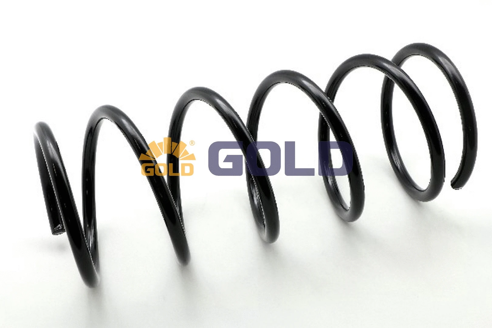 Suspension Spring (GZJ1951A)