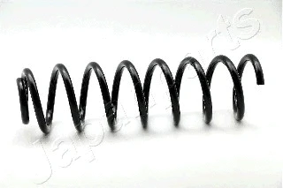Suspension Spring (ZC3163G)