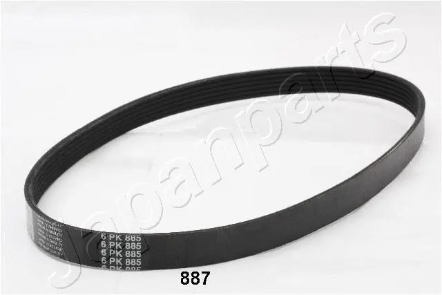 V-Ribbed Belt (TV-887)