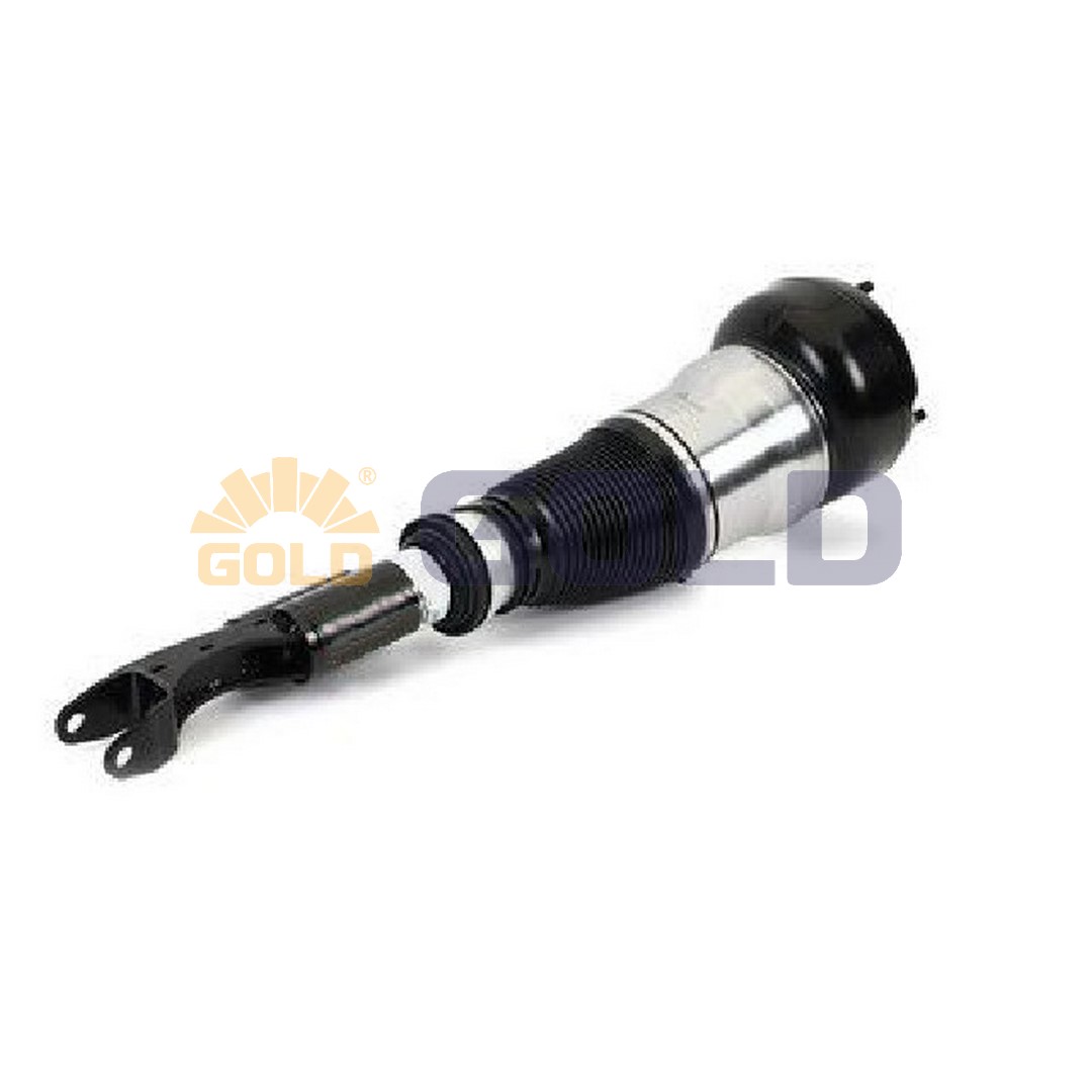Air Suspension Strut (GAS116)
