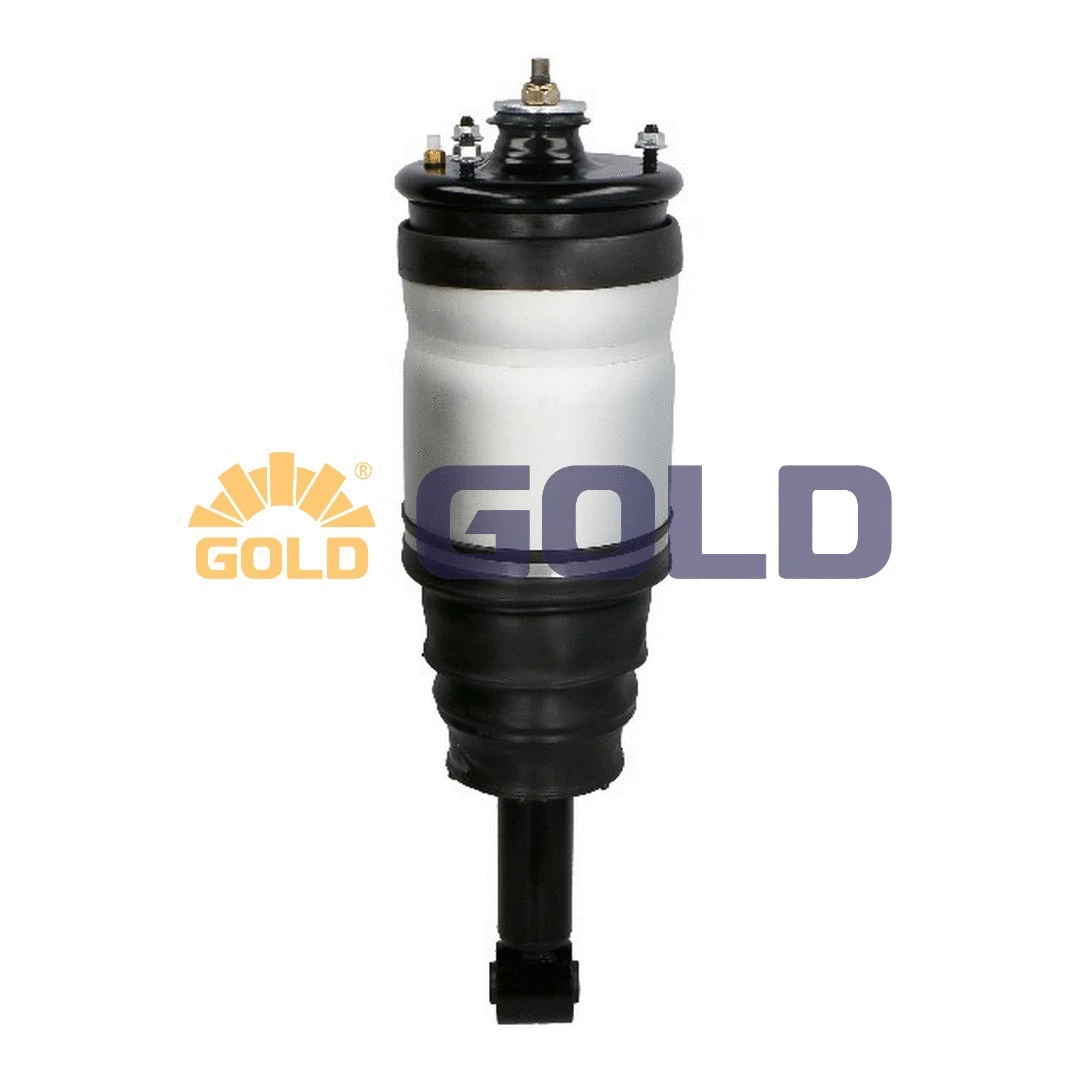 Air Suspension Strut (GAS020)