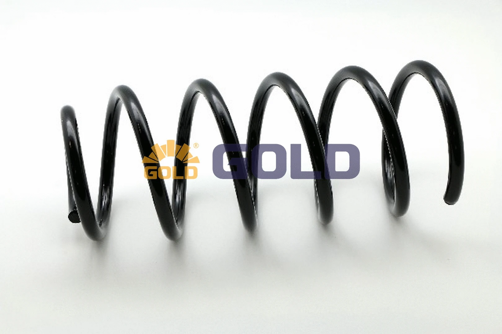 Suspension Spring (GZJ1702C)