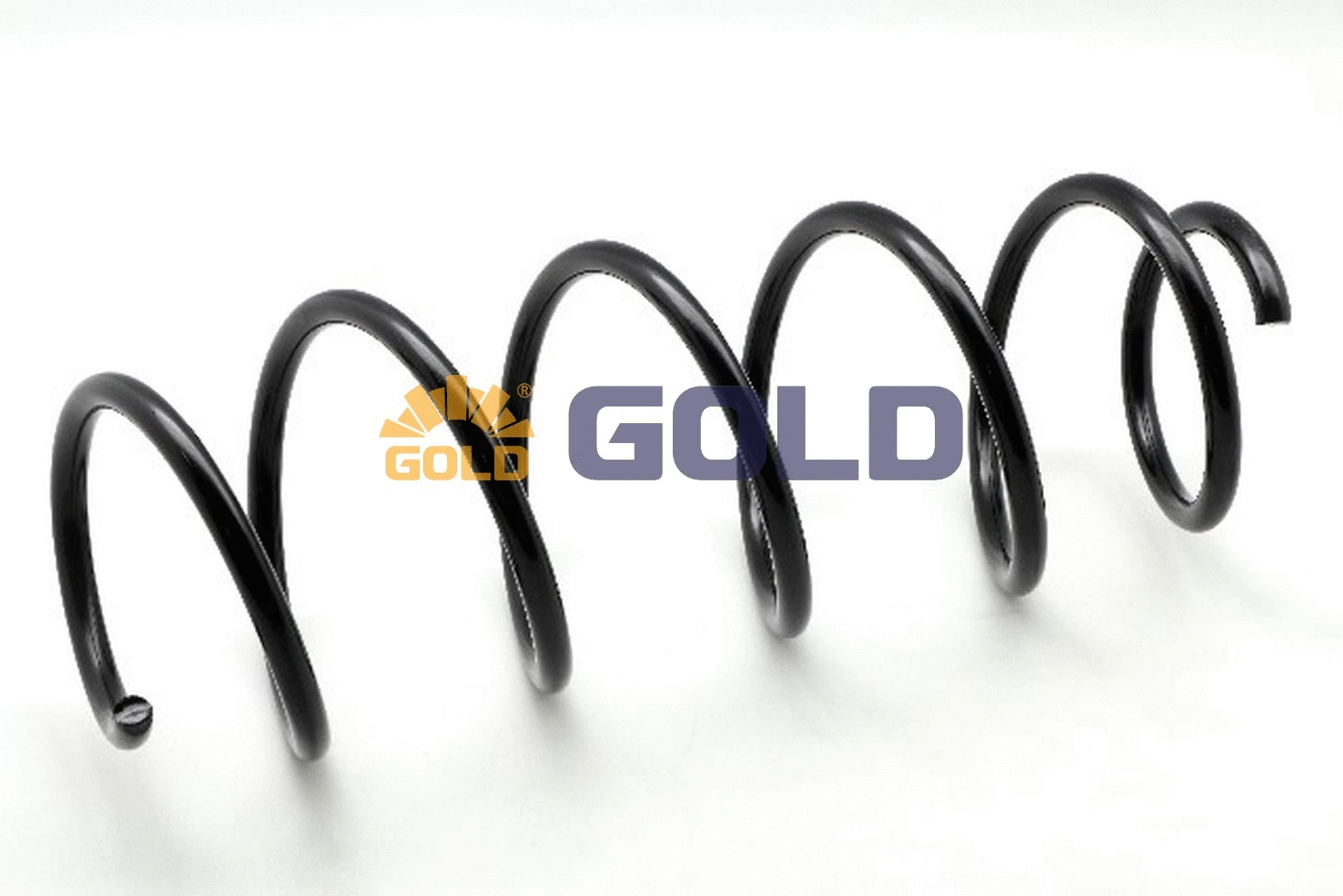 Suspension Spring (GZJ2079H)