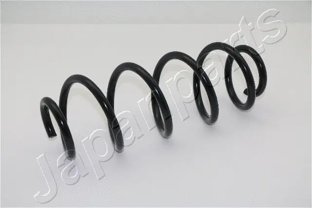 Suspension Spring (ZC7104A)