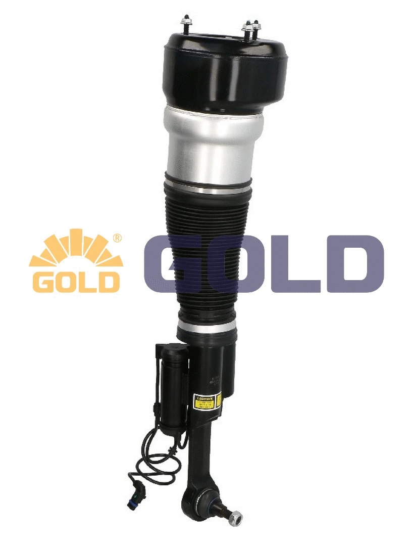 Air Suspension Strut (G680461)
