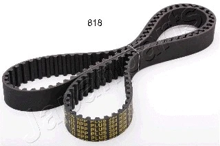 Timing Belt (DD-818)