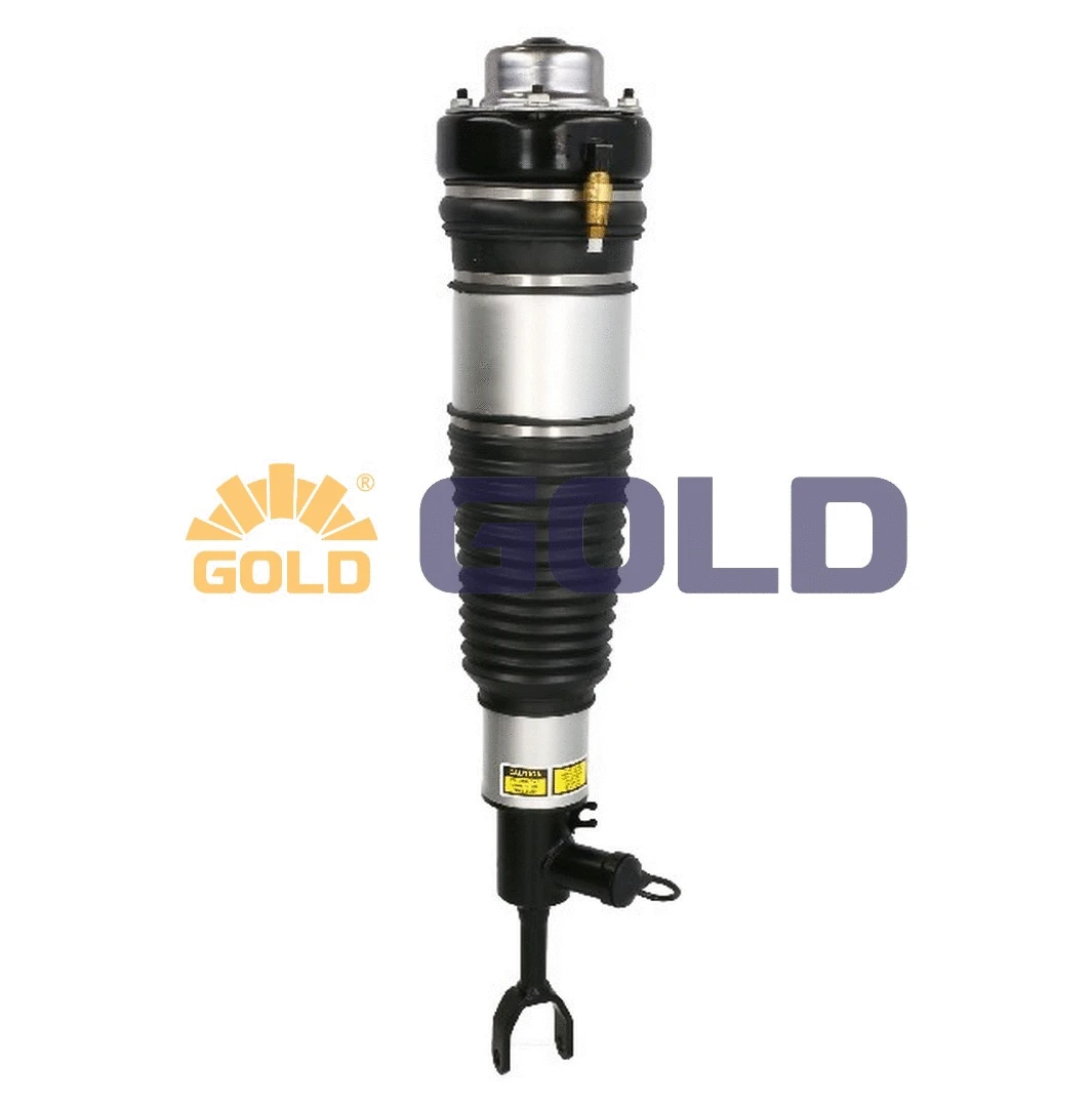 Air Suspension Strut (G680001)