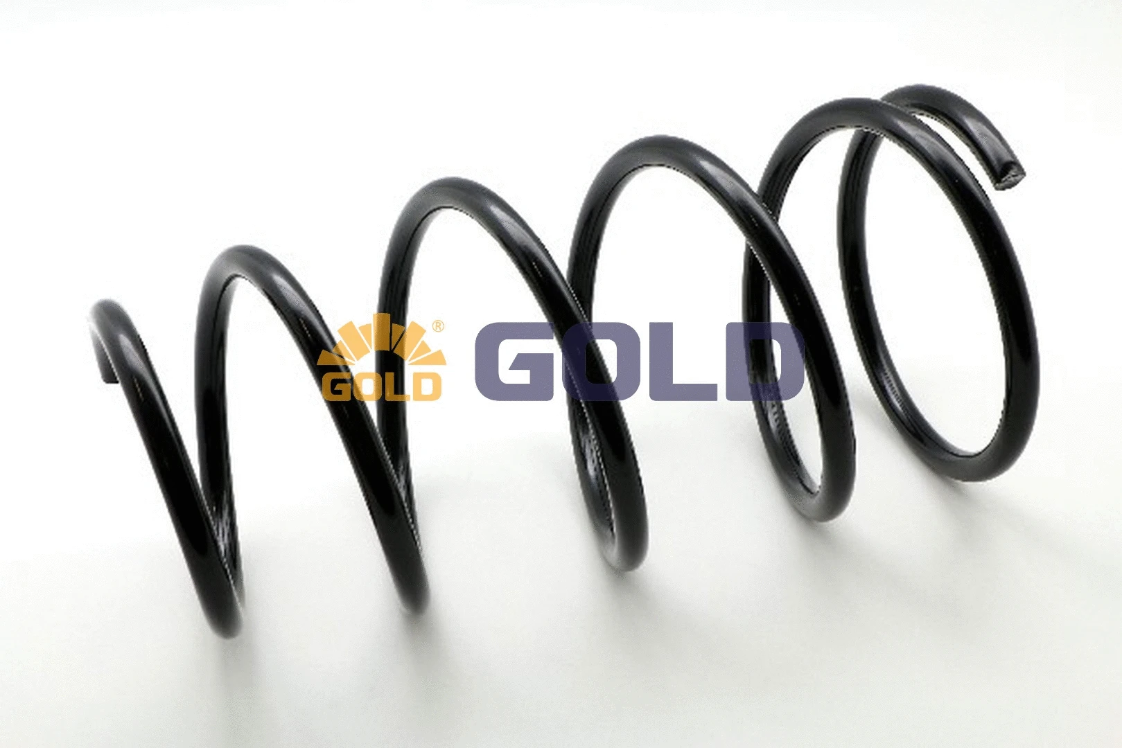 Suspension Spring (GZJ3170G)