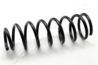 Suspension Spring (ZC6548G)