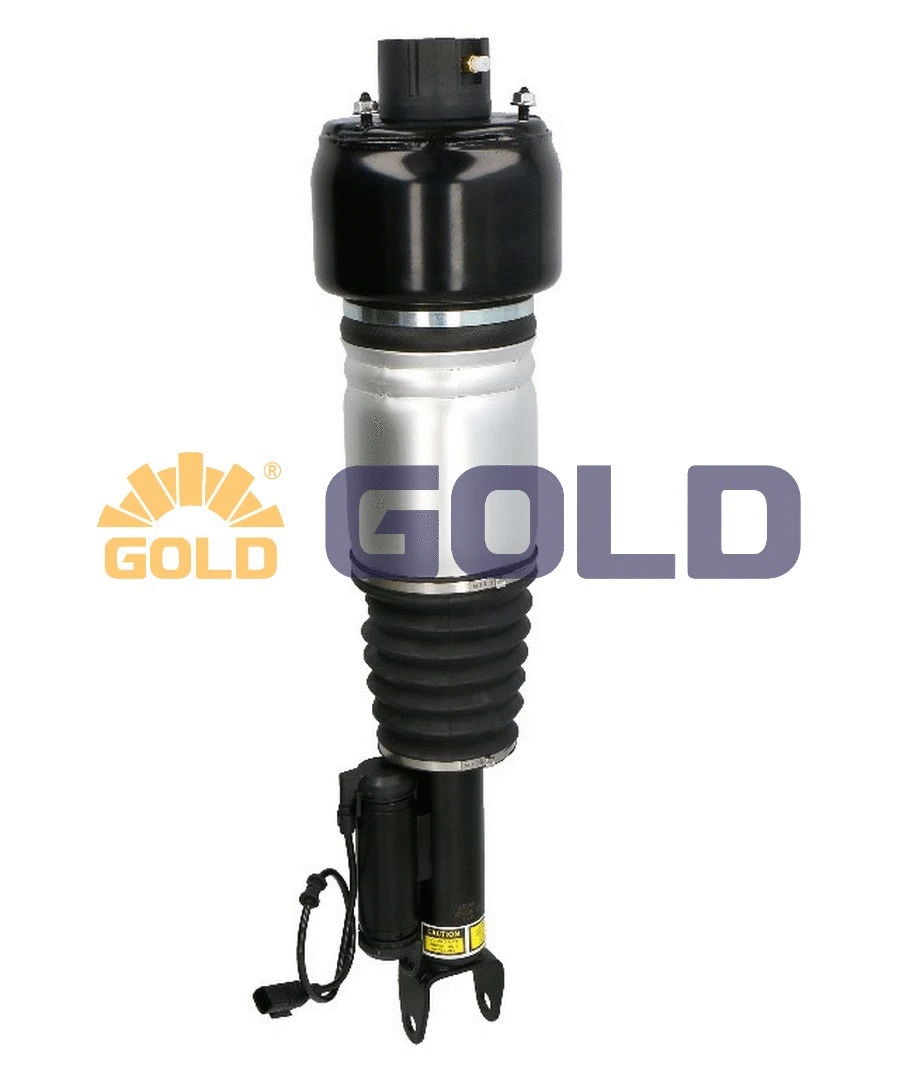 Air Suspension Strut (G680492)