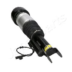 Air Suspension Strut