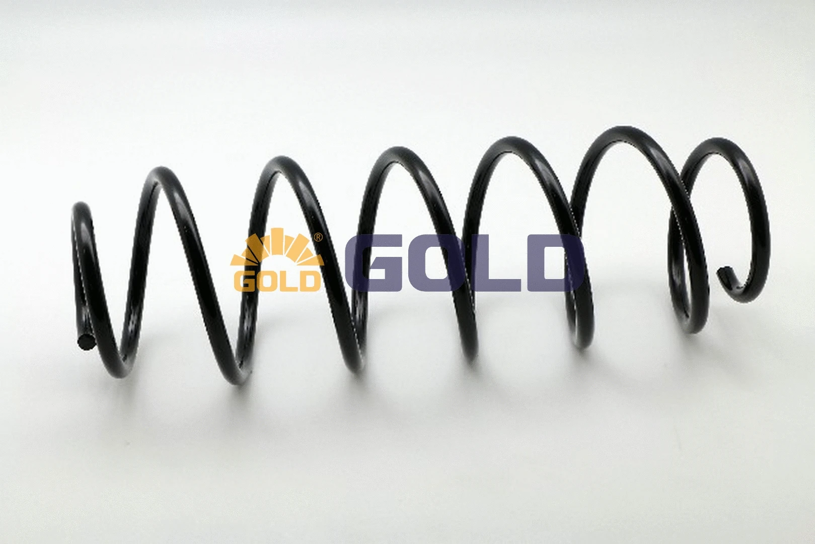 Suspension Spring (GZJ6168A)