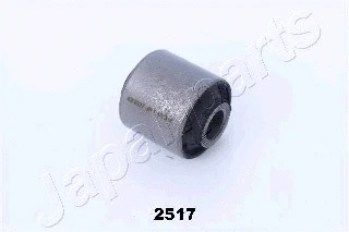 Mounting, control/trailing arm (RU-2517)
