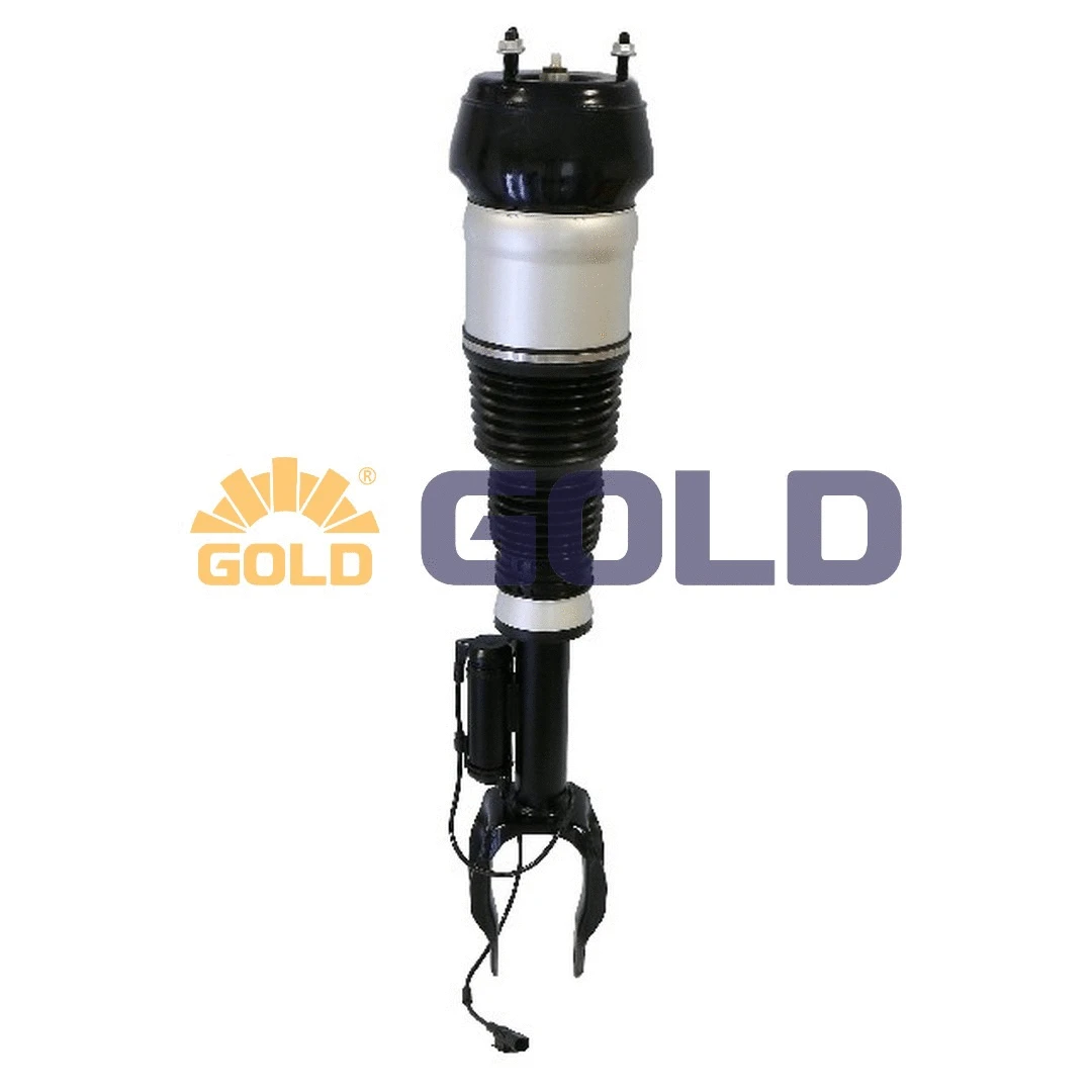 Air Suspension Strut (6160231)