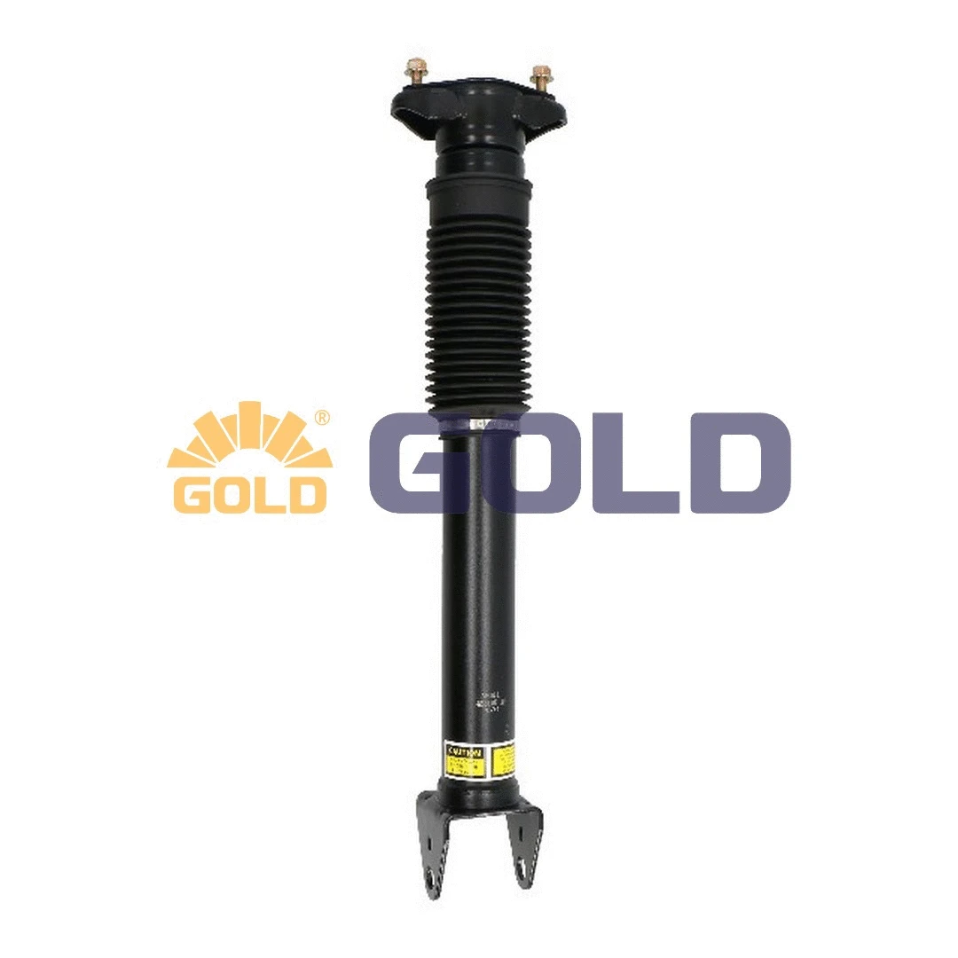 Air Suspension Strut (6350240)