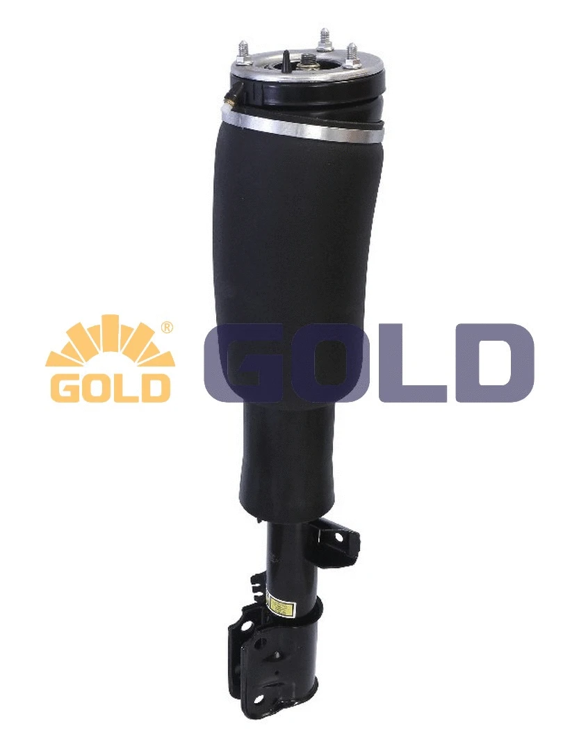 Air Suspension Strut (6160311)