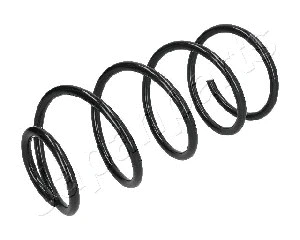 Suspension Spring (ZC1101A)