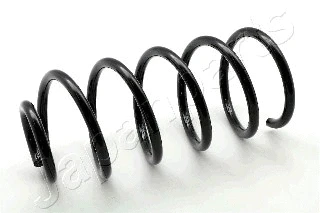 Suspension Spring (ZC6538G)