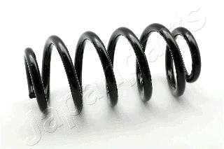 Suspension Spring (ZC3478H)