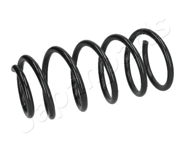 Suspension Spring (ZC1116A)