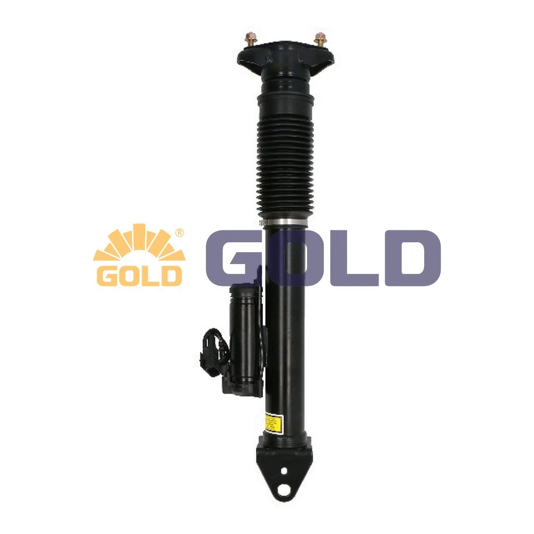 Air Suspension Strut (6360240)