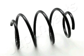 Suspension Spring (ZC3305H)