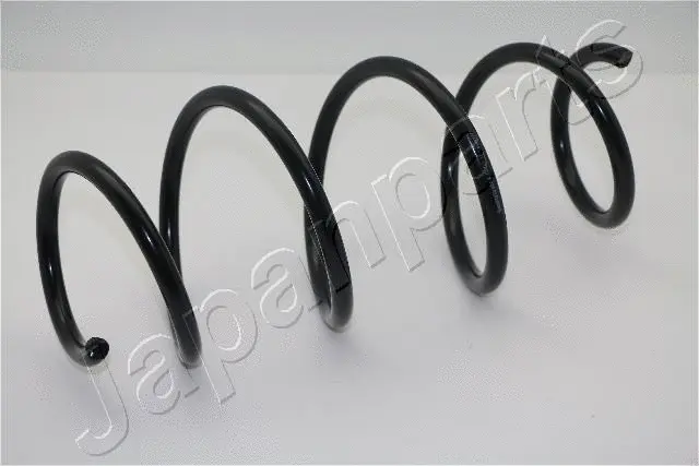 Suspension Spring (ZC3930H)
